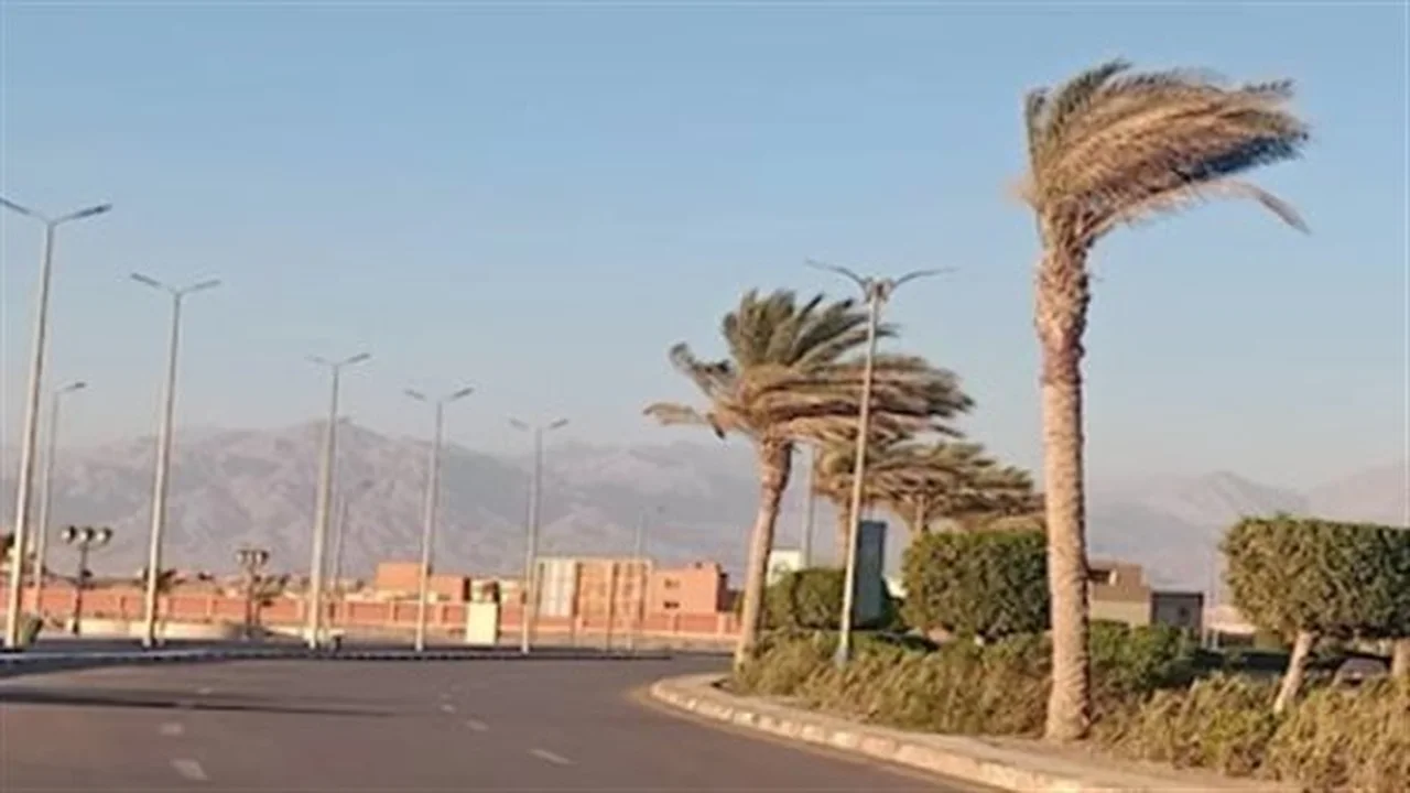 طقس الإسكندرية والوجه البحري.. رصد تباين درجات الحرارة وفرص هدوء الرياح بالمحافظات